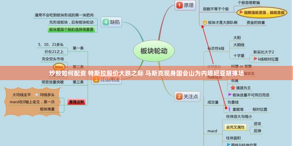 炒股如何配资 特斯拉股价大跌之际 马斯克现身国会山为内塔尼亚胡捧场