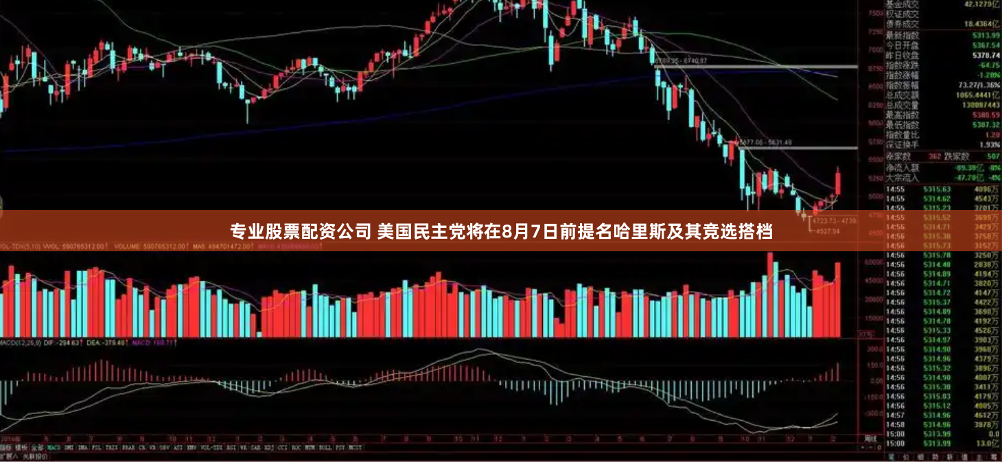 专业股票配资公司 美国民主党将在8月7日前提名哈里斯及其竞选搭档