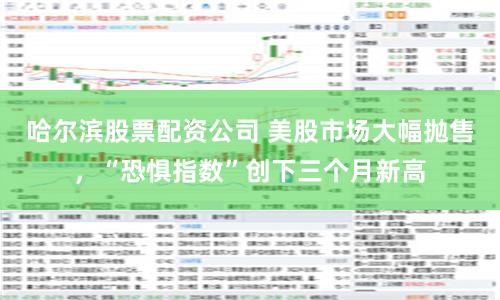 哈尔滨股票配资公司 美股市场大幅抛售，“恐惧指数”创下三个月新高