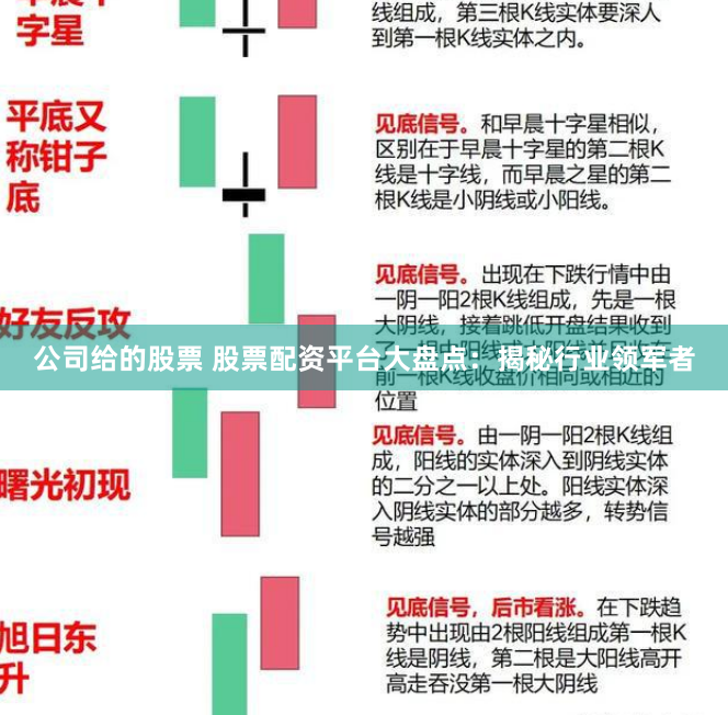 公司给的股票 股票配资平台大盘点：揭秘行业领军者