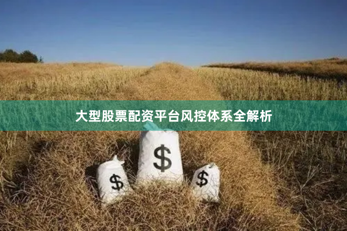 大型股票配资平台风控体系全解析
